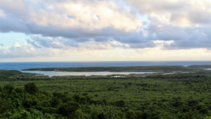 Top 3 places to check out in Vieques without a tour
