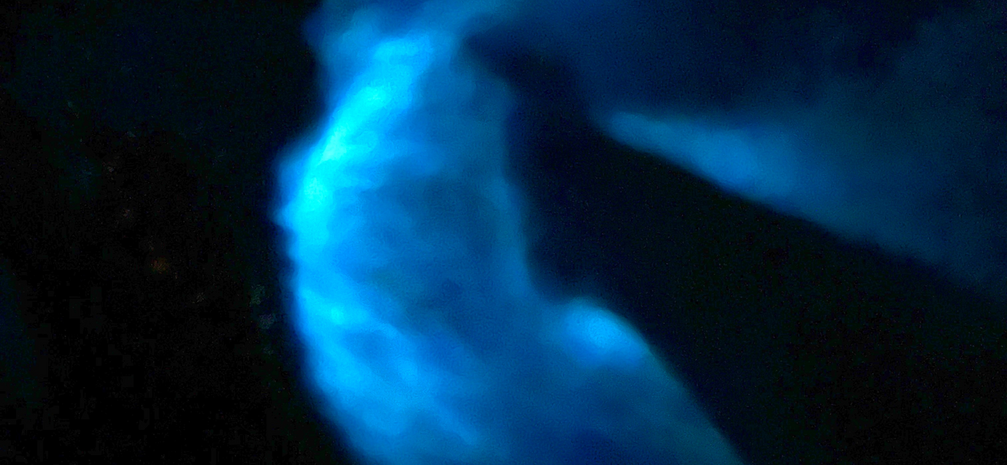 Bioluminescent Bay Clear Bottom Kayaking - Vieques, Puerto Rico