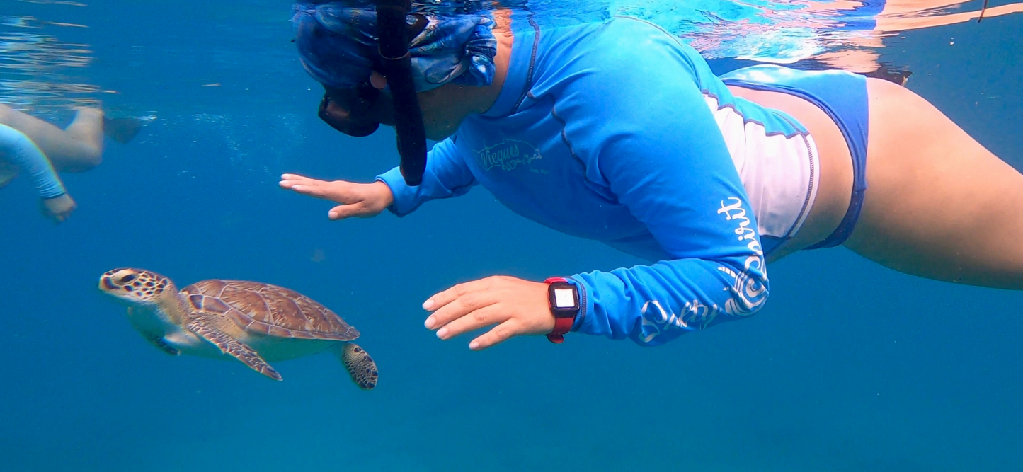 Shared Snorkeling